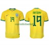 Maillot de Supporter Brésil Antony 19 Domicile Coupe du Monde 2022 Pour Homme